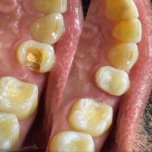 WhatsApp Image 2025-08-07 at 18.45.47 (1)